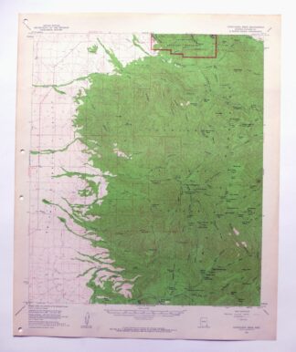 Chiricahua Peak Arizona Coronado NF USGS Topo Map 1962