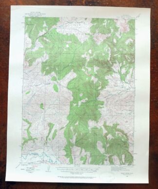 Pilot Knob Colorado Routt NF USGS Topo Map 1963 Vintage