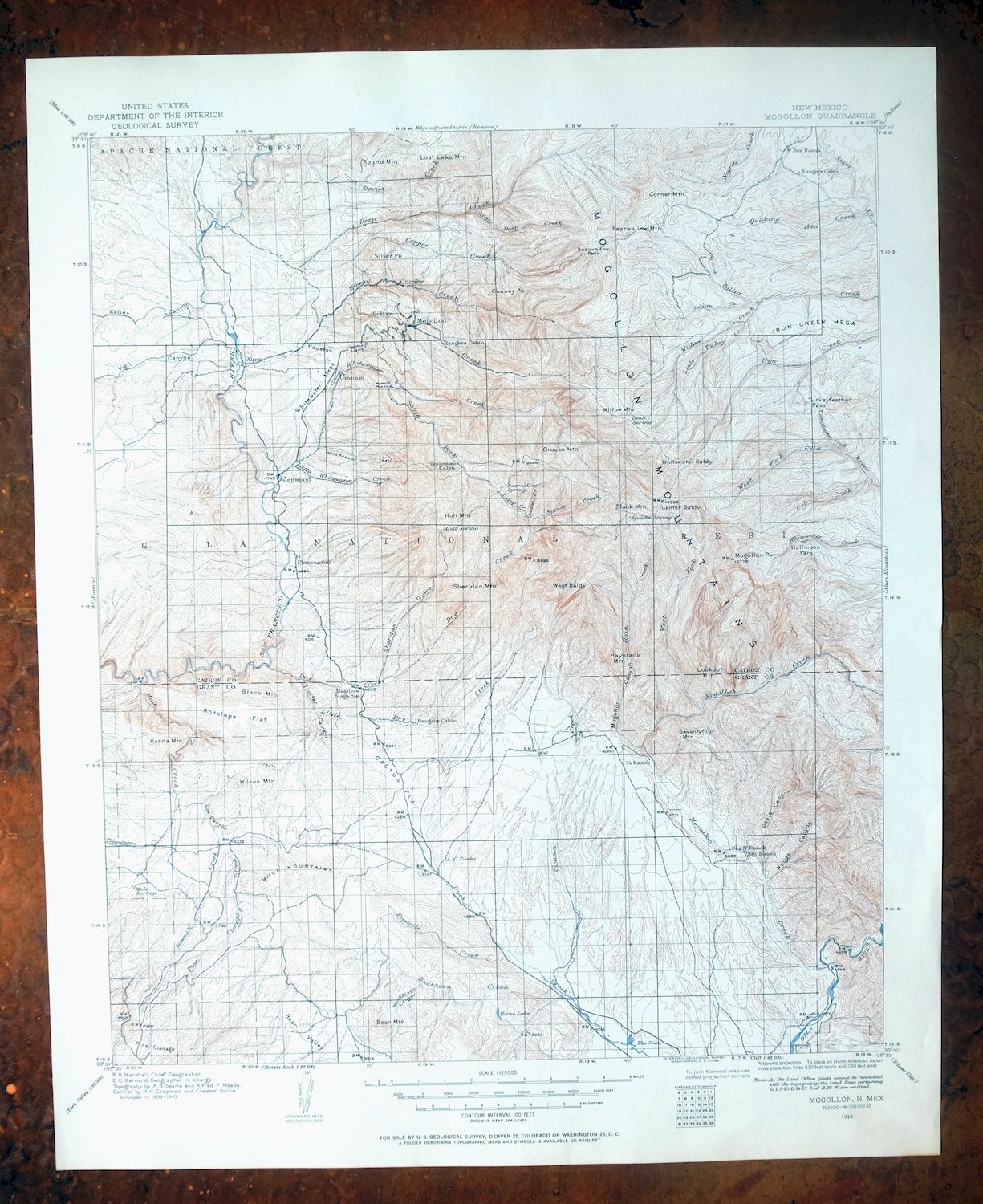 Mogollon New Mexico Pleasanton Mule Creek USGS Topo Map 1964