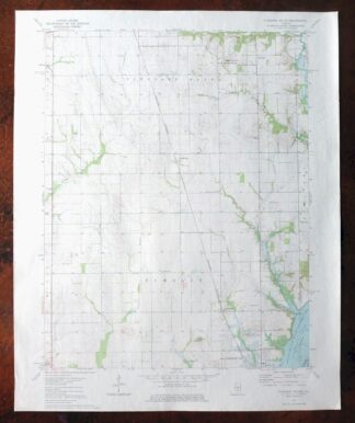 Pleasant Mound Illinois Tamalco USGS Topographic Map 1977