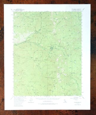 Camp Nelson California USGS 15-Min Topo Map 1977 Vintage