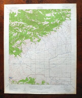 Neenach California USGS 15 Minute Topo Map 1962 Vintage